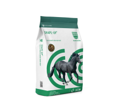 Bag of Saracen Shape Up