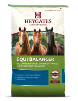 Bag of Heygates Equibalancer