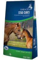 Bag of Saracen Stud Cubes