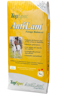 Bag of Topsepc AntiLam